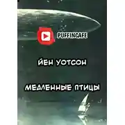 Постер книги Медленные птицы