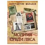 Постер книги Молния среди леса