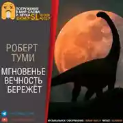 Постер книги Мгновенье вечность бережёт
