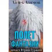 Постер книги Полет фантазии