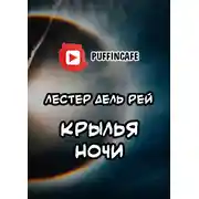 Постер книги Крылья ночи