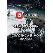 Постер книги Спустись в мой подвал