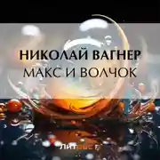 Постер книги Макс и Волчок