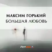 Постер книги Большая любовь