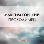 Постер книги Проходимец