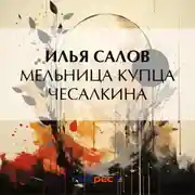 Постер книги Мельница купца Чесалкина