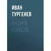 Постер книги Андрей Колосов