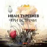 Постер книги Три встречи