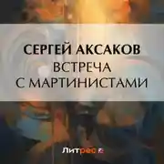 Постер книги Встреча с мартинистами