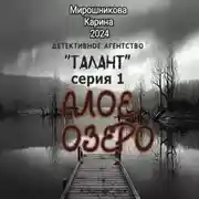 Постер книги Детективное агентство «Талант». Серия первая. Алое озеро