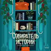 Постер книги Собиратель историй