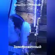 Постер книги Замороженный