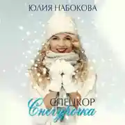 Постер книги Спецкор Снегурочка