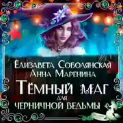 Постер книги Темный маг для Черничной ведьмы