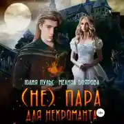 Постер книги (Не) пара для некроманта