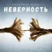 Постер книги Неверность