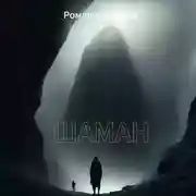 Постер книги Шаман
