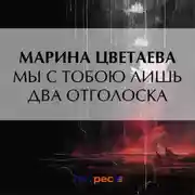 Постер книги Мы с тобою лишь два отголоска