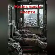 Постер книги Жизнь после смерти