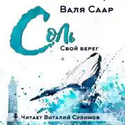 Постер книги Соль. Свой берег