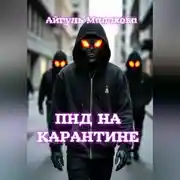 Постер книги ПНД на карантине