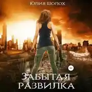 Постер книги Забытая развилка