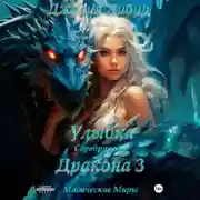 Постер книги Улыбка Серебряного Дракона 3