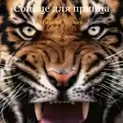 Постер книги Солнце для принца