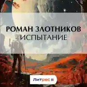 Постер книги Испытание