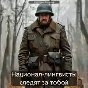 Постер книги Национал-лингвисты следят за тобой