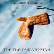 Постер книги Третья рукавичка