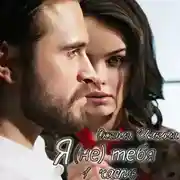 Постер книги Я (не) тебя