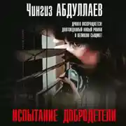 Постер книги Испытание добродетели