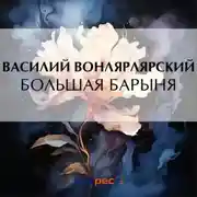 Постер книги Большая барыня