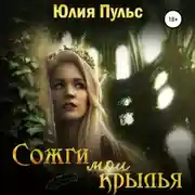 Постер книги Сожги мои крылья