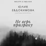 Постер книги Не верь призраку