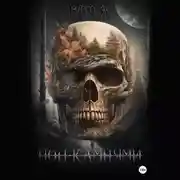 Постер книги Под камнями