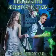 Постер книги Некроманты женятся не сразу