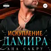 Постер книги Искупление Дамира