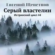 Постер книги Серый властелин