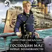 Постер книги Господин маг. Новые возможности