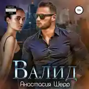 Постер книги Валид