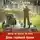 Макс Глебов - Звезд не хватит на всех. День горящей брони