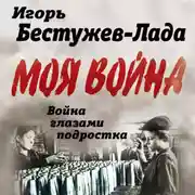 Постер книги Война глазами подростка
