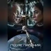 Постер книги После падения