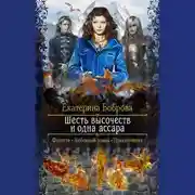 Постер книги Шесть высочеств и одна ассара