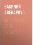  Василий Авенариус - Юношеские годы Пушкина
