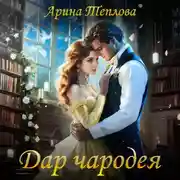Постер книги Дар чародея