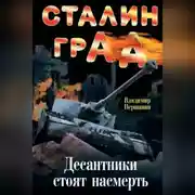 Постер книги Сталинград. Десантники стоят насмерть