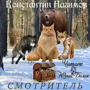 Постер книги Смотритель